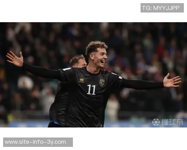 多特蒙德关注霍芬海姆前锋阿斯拉尼拜仁并不将其列为首要引援目标 多特蒙德关注霍芬海姆前锋阿斯拉尼拜仁并不将其列为首要引援目标